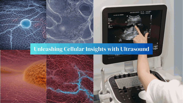 Imaging the Human Future Cellular Insights with Ultrasound