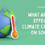 What are the Effects of Climate Change on Society? step by step guide